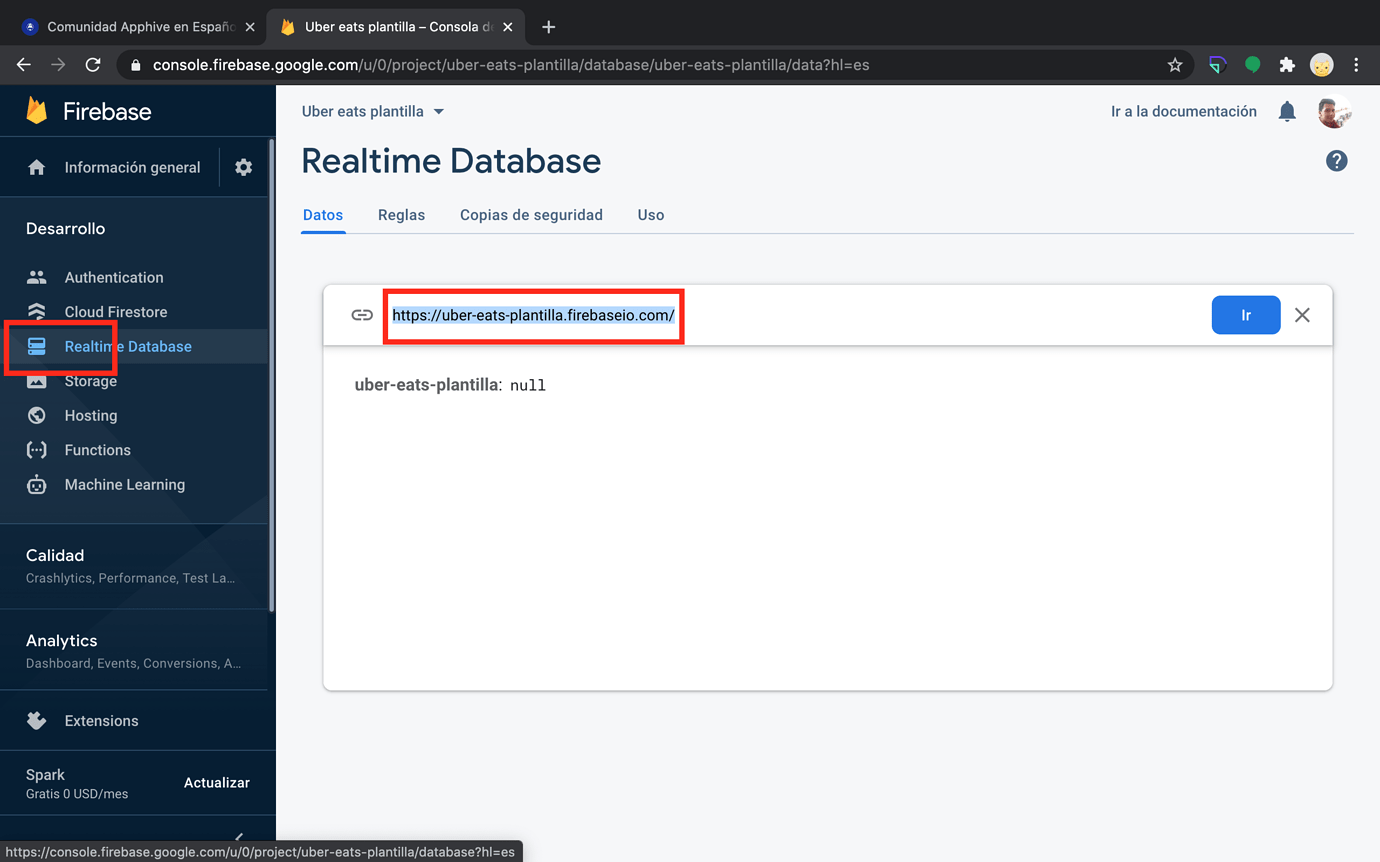 firebase change database url